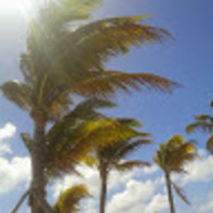 Meet your Posher, Sierra